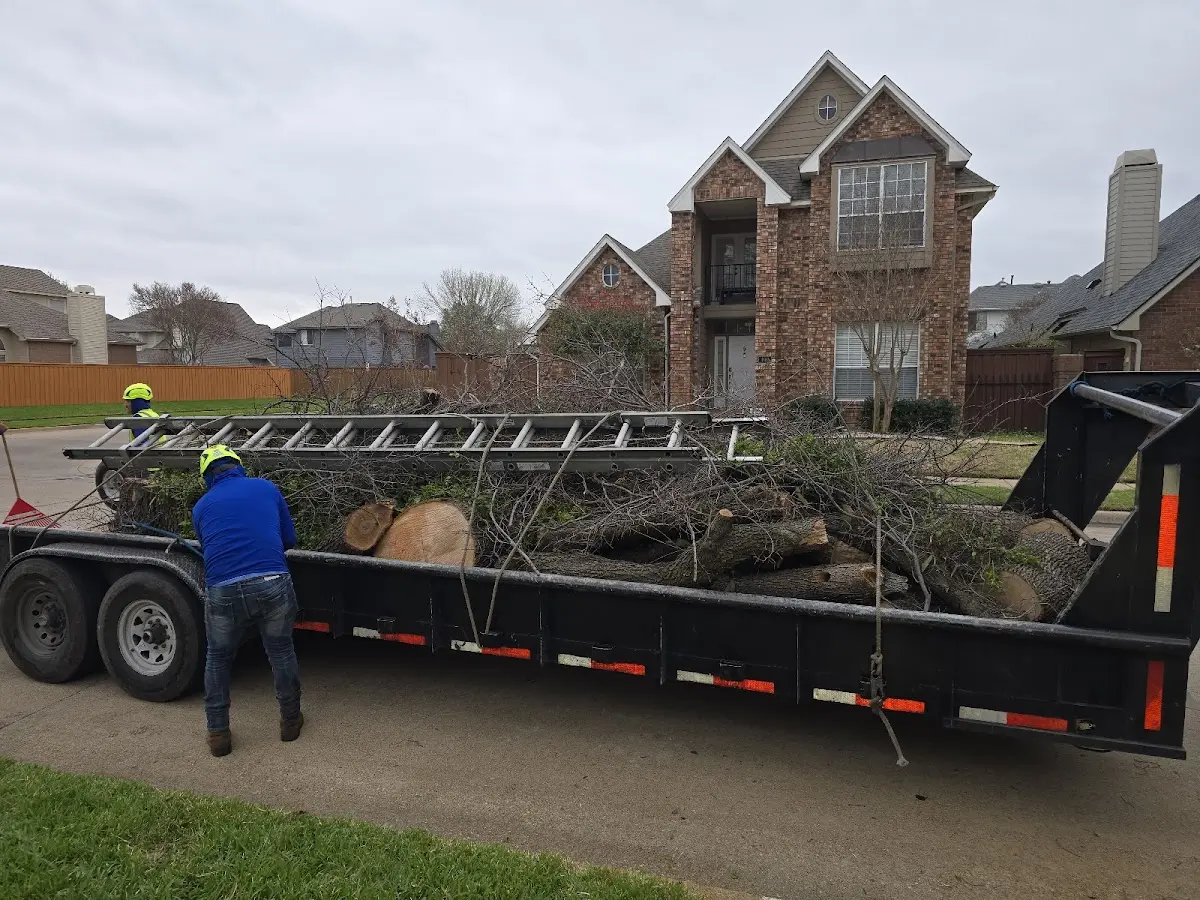 Expert Lot Clearing with proper safety equipment in Eleva